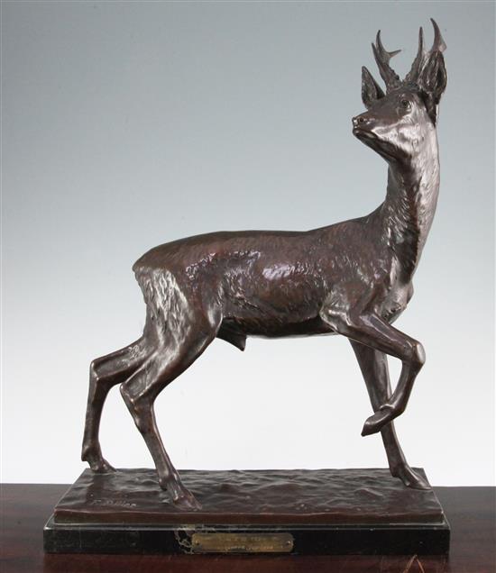 Fritz Diller (German, 1875-1945). A bronze model of a Roebuck, 19in.